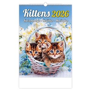 Wall Calendar 2026 - Kittens/Katzenbabys/Kittens/Mačičky