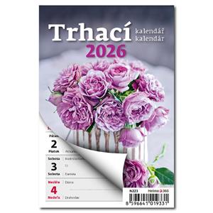 Wall calendar 2026 - Weekly tear-off calendar A6